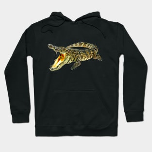 Crocodile Hoodie